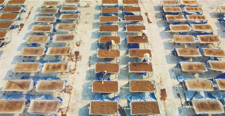 圖片關鍵詞 圖片關鍵詞